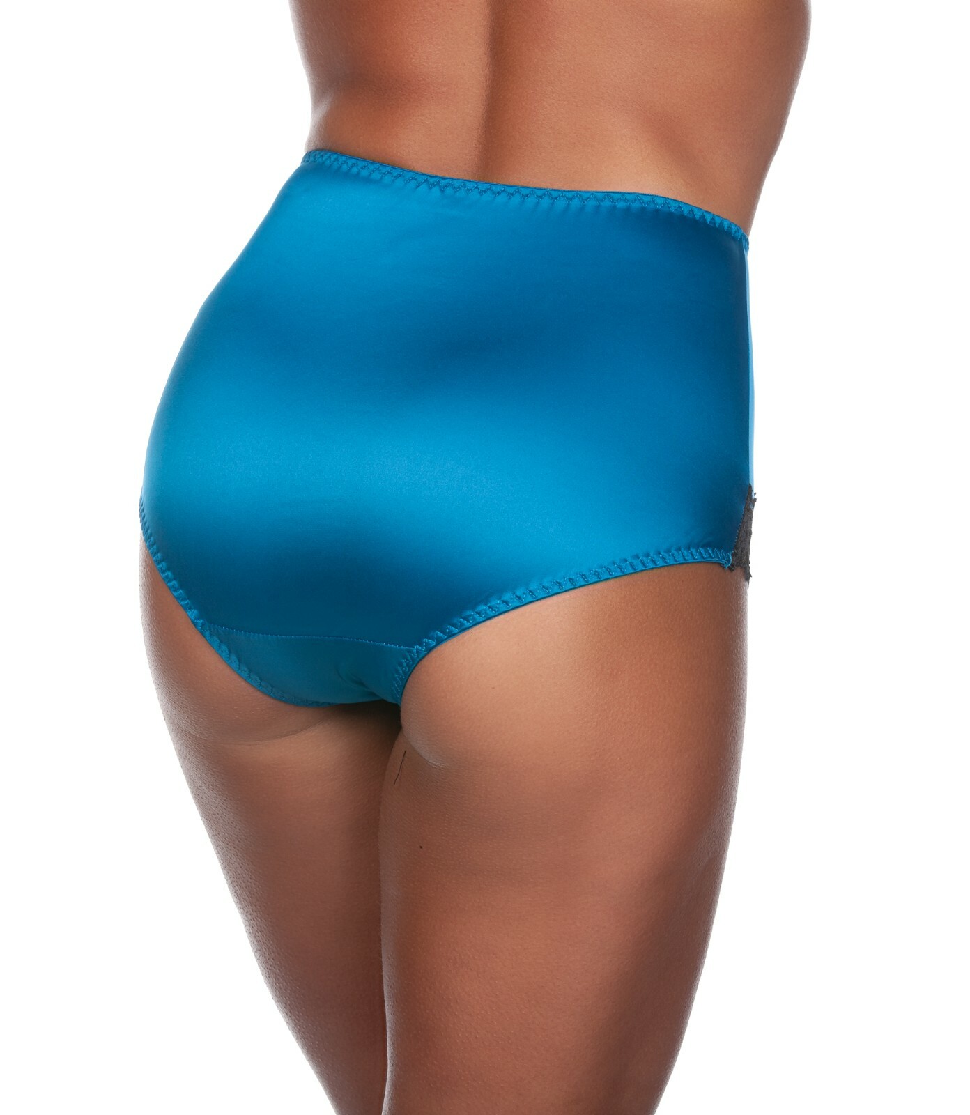 Parfait by Affinitas Danielle Women’s Highwaist Brief Panty 8551
