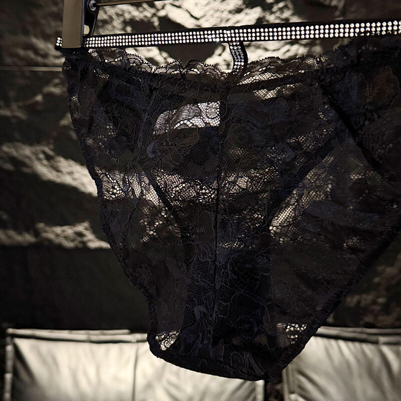 5 Pack Lot Sexy Womens See Through Lace Panties Briefs Sissy Underwear Lingeries
