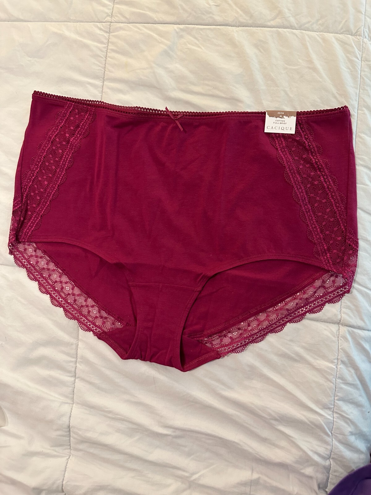 Lane Bryant Cacique RASPBERRY RADIANCE Cotton Full Brief Daydream Lace Bac 22/24