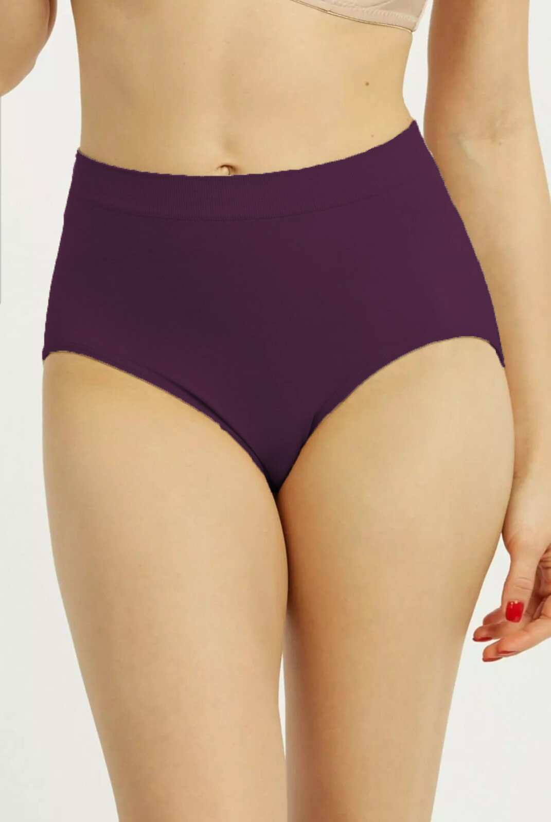 Women Smooth Stretch Silky Seamless High Rise Full Coverage Spandex Brief Panty