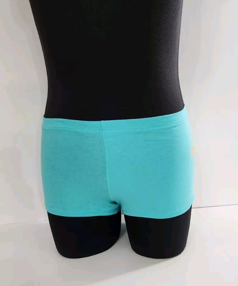Victorias Secret Panties Size Lg Teal Gold Dog Logo Low Rise Boyshort NOS