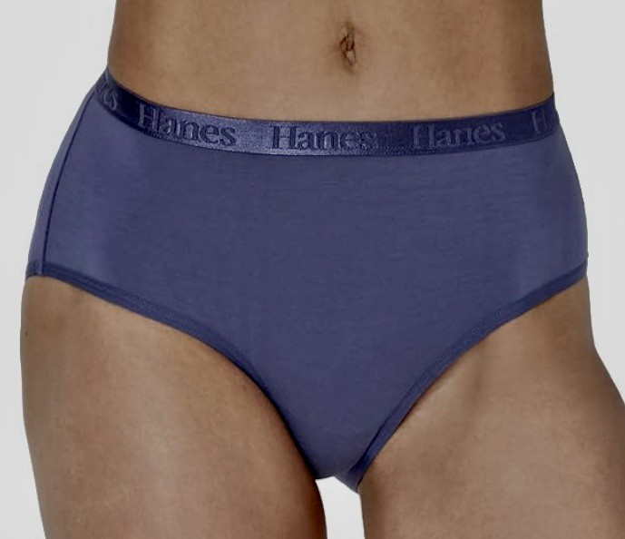 HANES 3 Pk Ultimate Supersoft Violet Lavender Silver Hipster Panty Womens 2XL 9