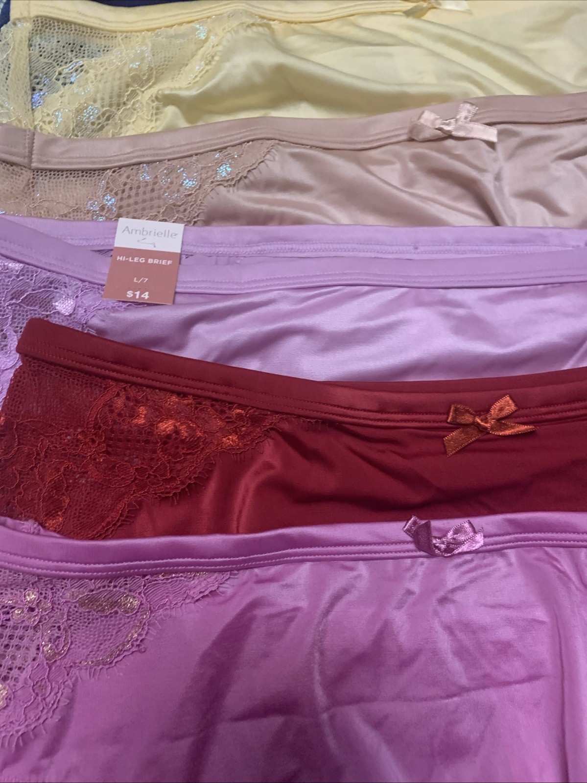 NWT LADIES SIZE 7L Or 8XL HI-LEG BRIEF AMBRIELLE BRAND 1000000098