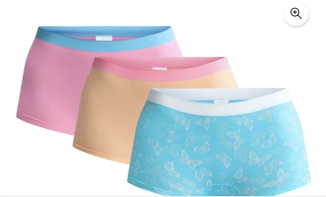 NEW Lot Of 4 Walmart Summer 3 Packs Assorted Underwear Women’s Size Small