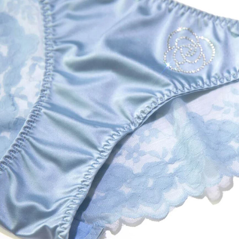 Set Of 6 Sexy Womens Silky Satin Panties Briefs Seamless Sheer Lace Lingeries
