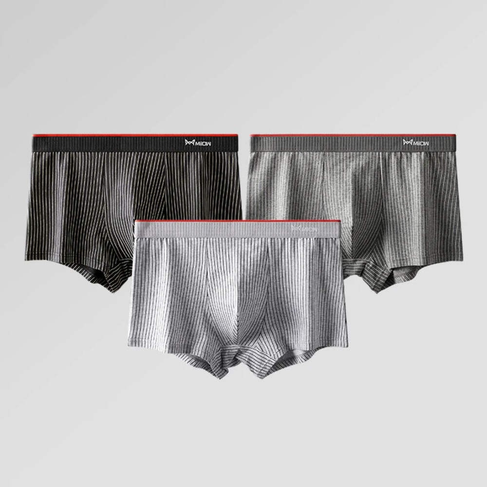 MiiOW 3/4Pcs PLUS 5XL Men Underwear Striped Panties Boxershorts Organic Cotton B