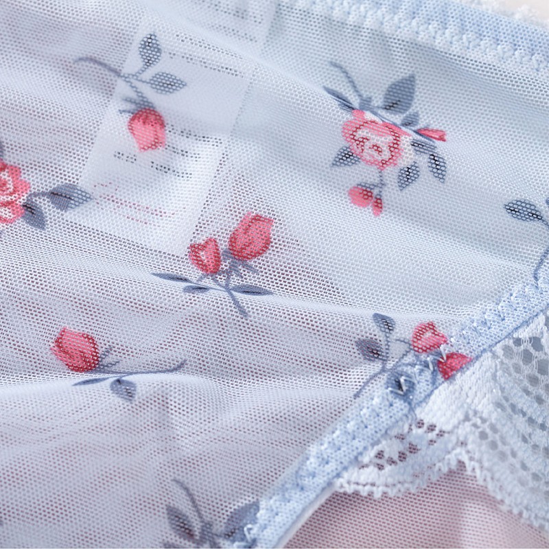 5 Pack Lot Sexy Womens Sheer Panties Underwear See Through Lingeries Cute Briefs