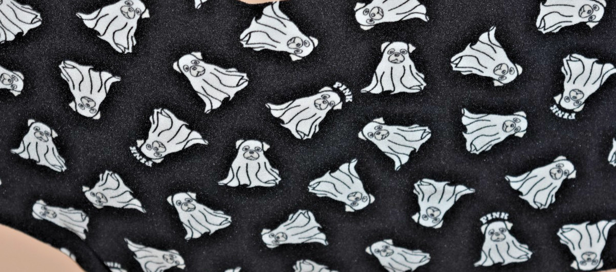 NWT Victoria’s Secret Pink Dog Ghost Halloween Hipster Panty 2X XXL