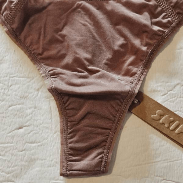 SKIMS V cut panty Nwt