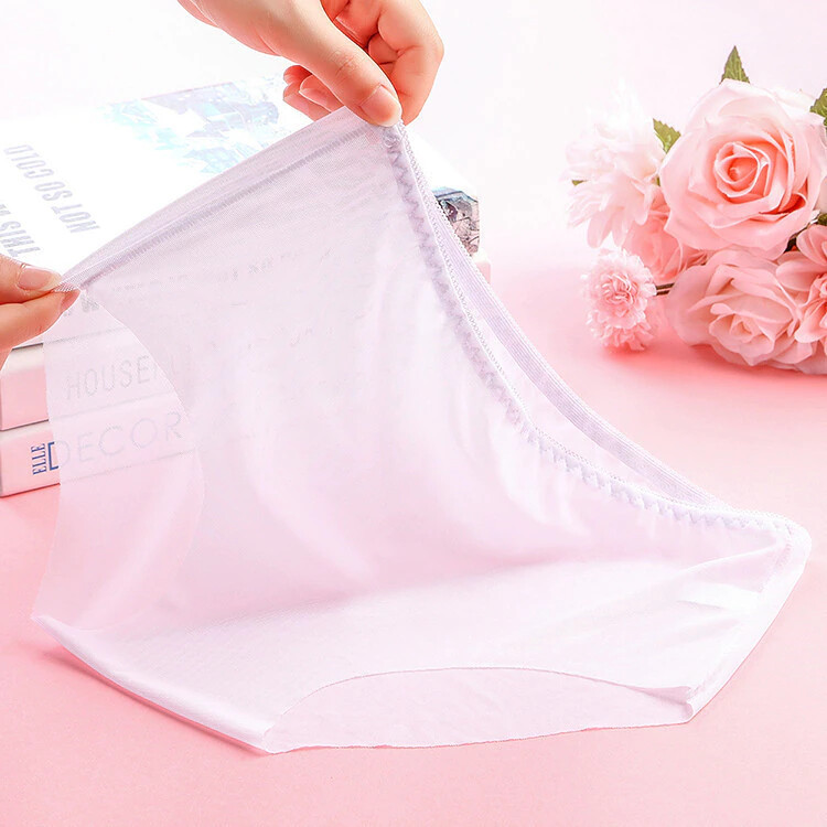Vintage Style Sheer Transparent Nylon Panties Retro – Various colours and sizes