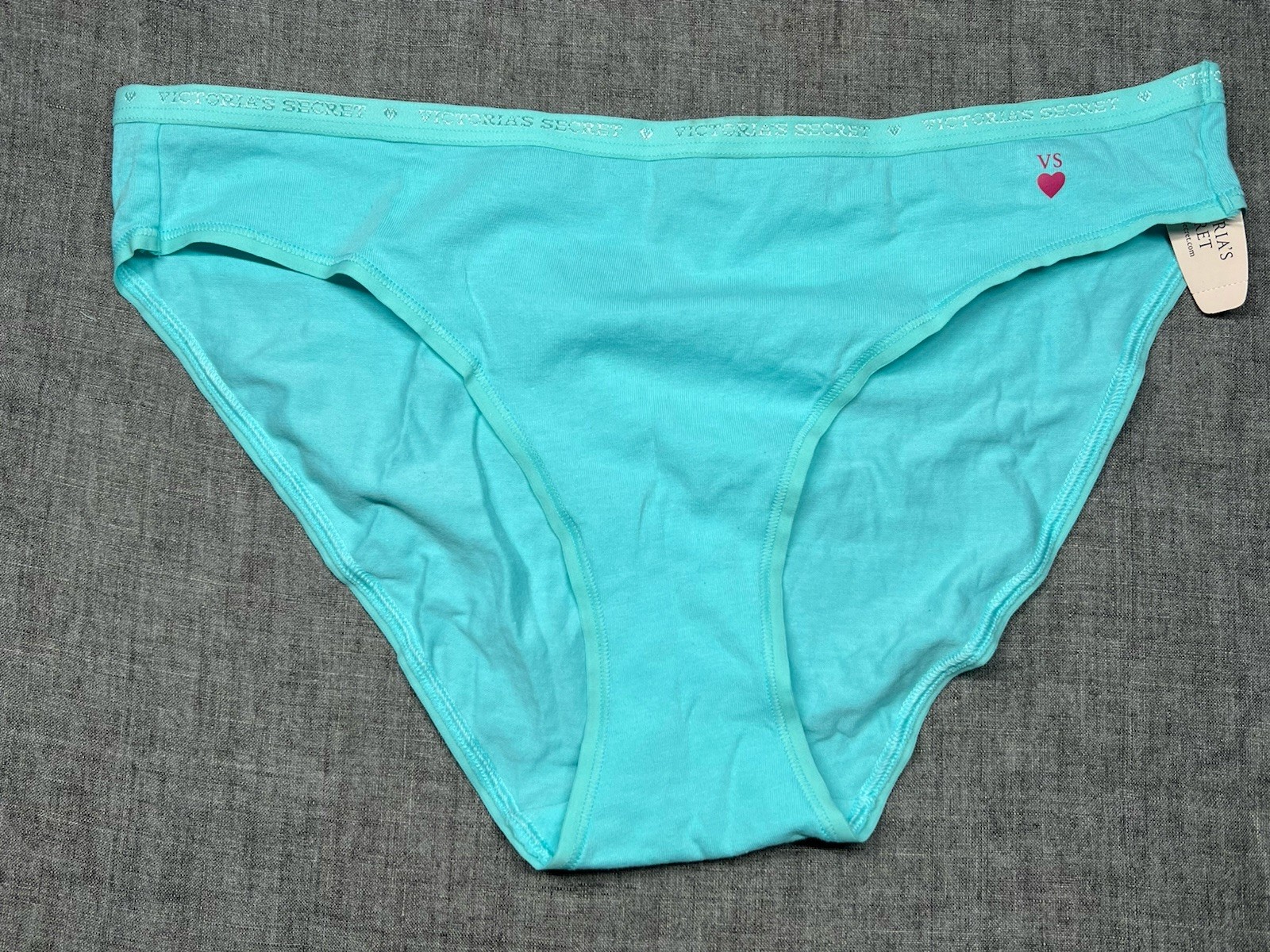 Vintage 2014 Victoria’s Secret Signature Band Cotton Bikini Panty Sea Foam Blue