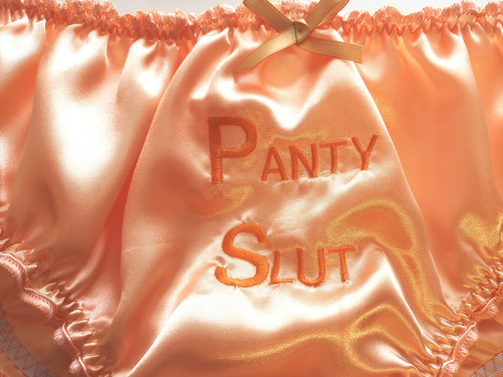 🌸MADE TO ORDER* Personalised EMBROIDERED “SATIN SISSY” Knickers any colour🌸