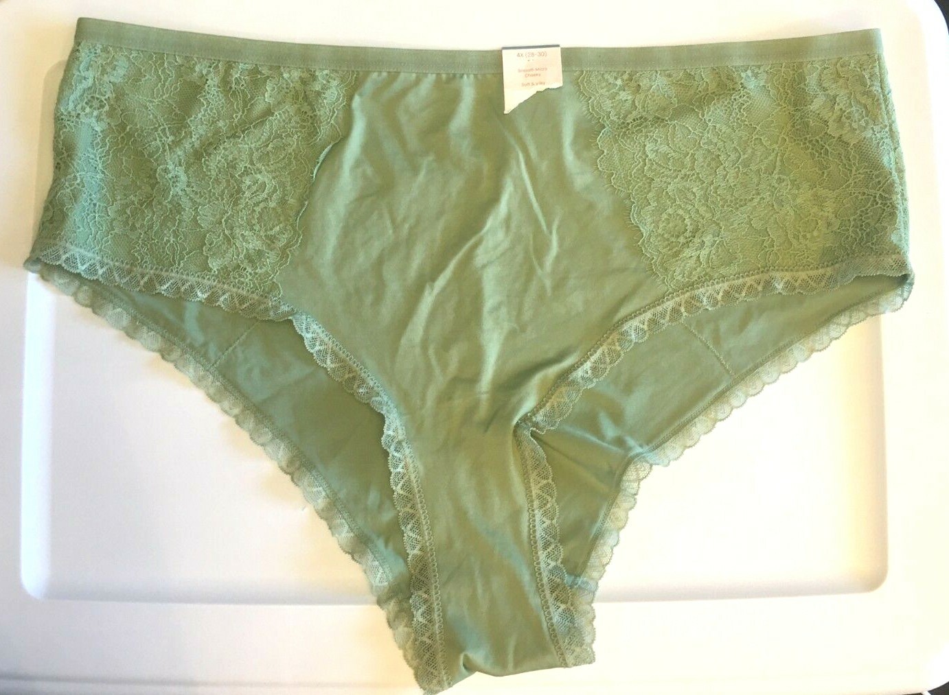 Kiwi Green Smooth Micro Cheeky Panties Womens Size 4X(28-30) Lace Soft Silky NWT