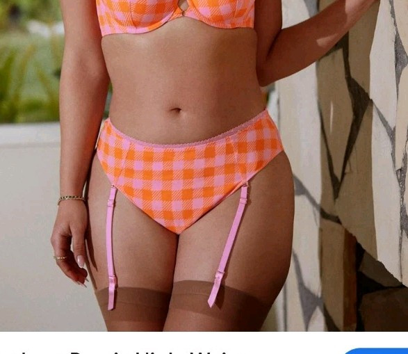 NWT Savage Fenty Size M Gingham Remix High-Waist Cheeky Undie Garter Check’d Out