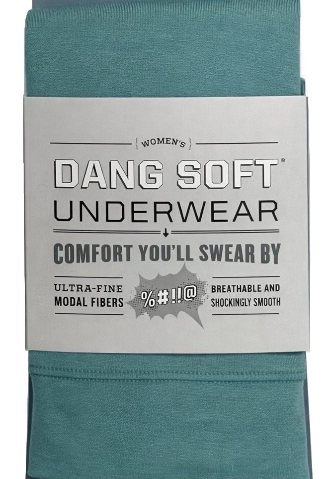 Duluth Women’s Dang Soft Underwear Modern Fit Hipster /Blue Green Size XL 18-20
