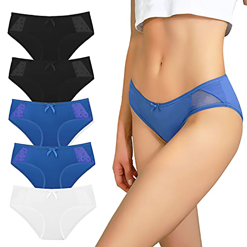 5 Pack Microfiber Knickers Breathable Underwear 2XL Silk Antibacterial (B15R03