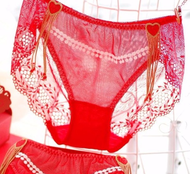 CHRISTMAS panties exotic hearts french lace RED sissy high cut brief S/M 20-32″