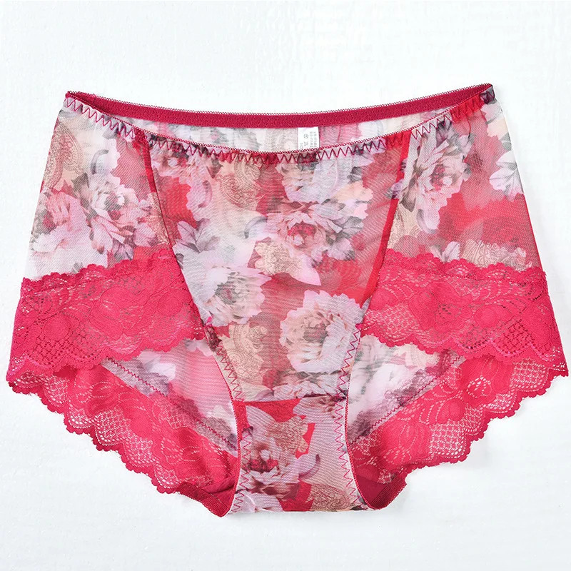 Mesh Lace Panties Mid Rise Womens Sheer Floral Panty Plus Size Underwear