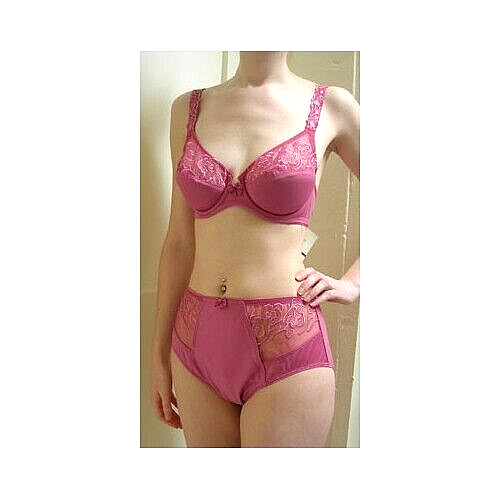 Pasturnette Pink SATISFACTION High Brief Embroidered Mesh Front Panels