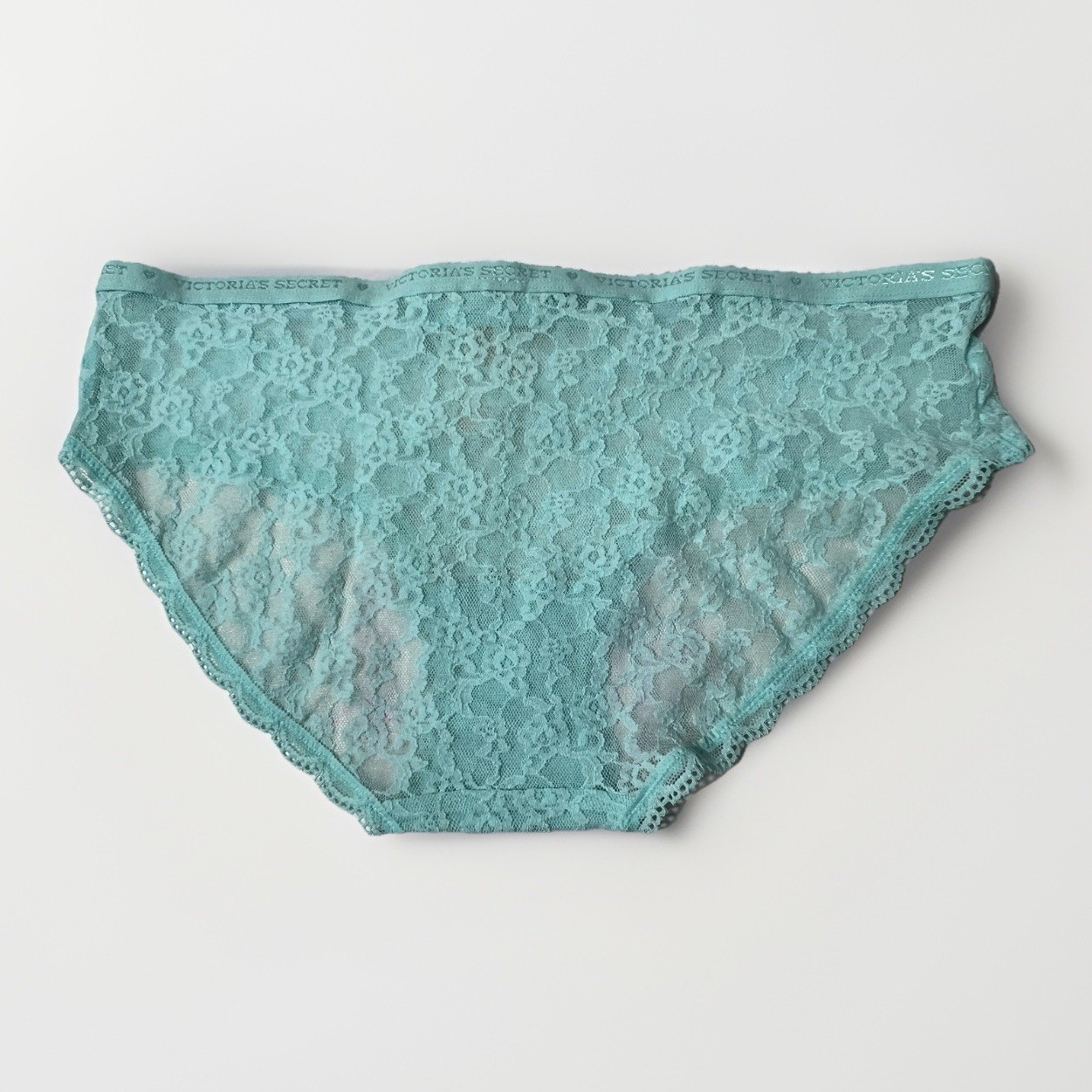 Victoria’s Secret Size M Brief Panty Teal Blue Lace NEW