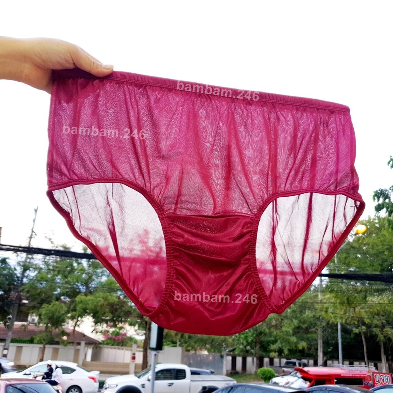 x6 Women Men Lingerie Underwear Silky Nylon High Waist Brief Panties Size XL Bre