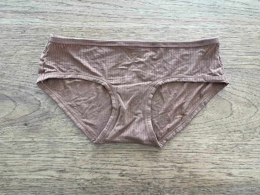 Aerie Smooth Brown LARGE Superchill Modal Rib Boybrief Underwear Panty NWT