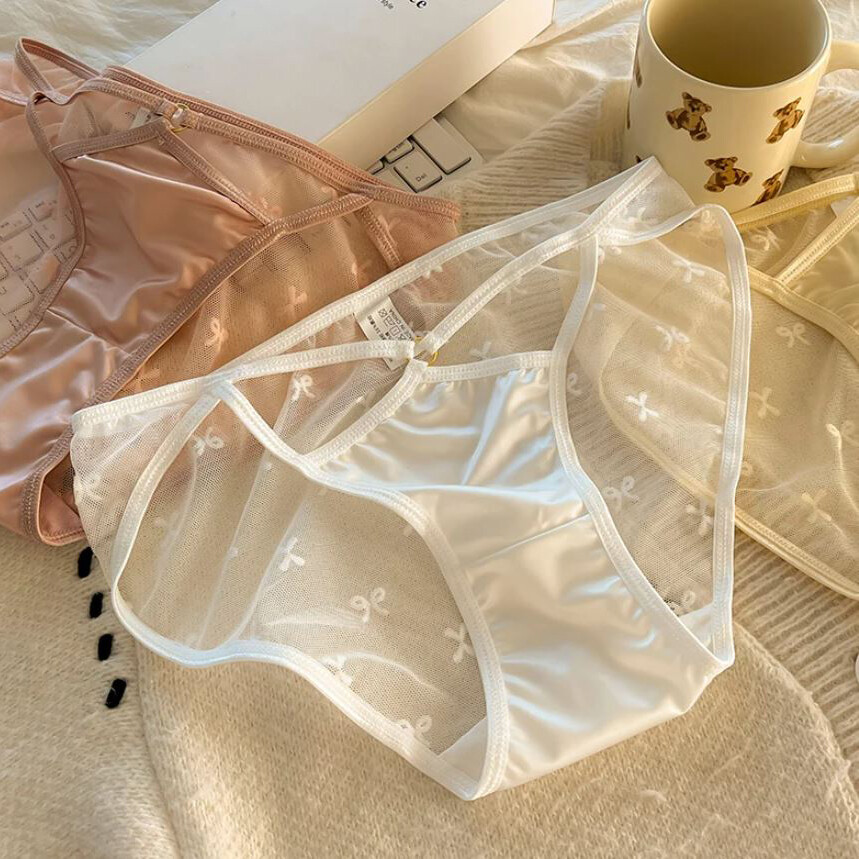 1 Pack Lot Sexy Womens Satin Panties Brief Sheer See Through Underwear Lingerie