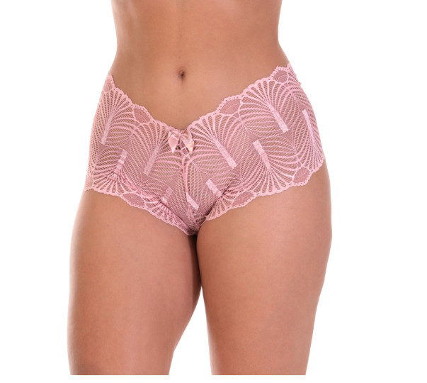 Elegant Brazilian Panties With Microfiber Lace Trim & Cotton Lining.