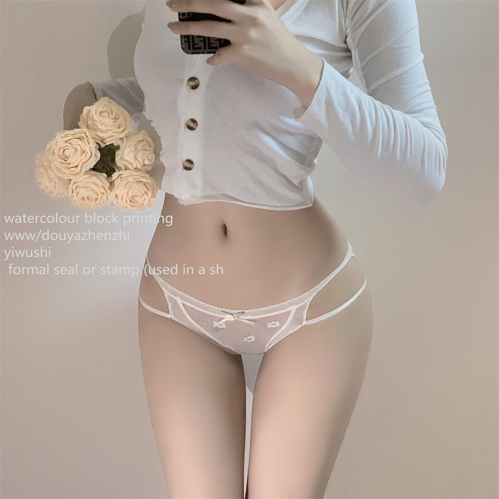 4 Pack Lot Sexy Women Low Waist Panties Underwear Lace Sheer Lingerie Briefs