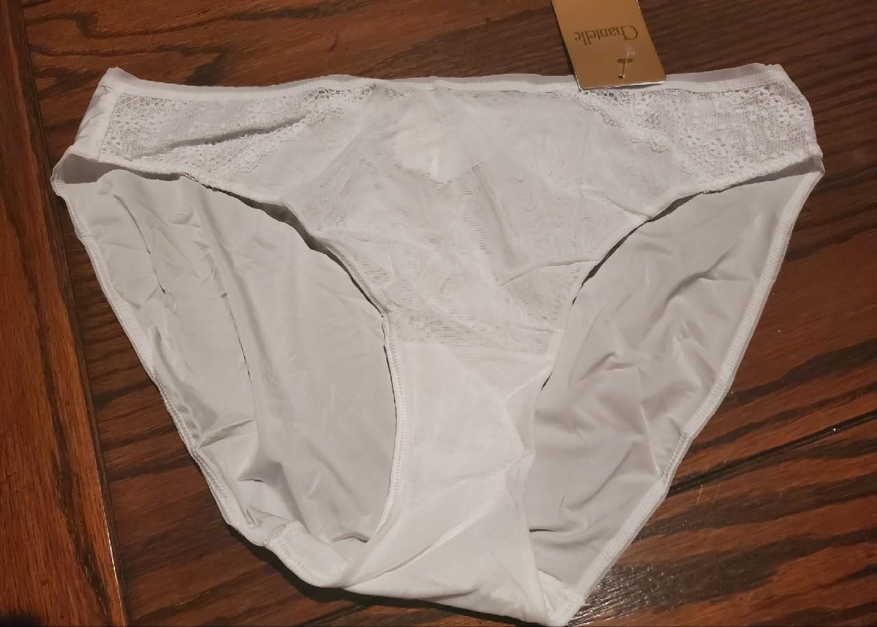 NWT CHANTELLE 1573 BIKINI PANTIES SHEER INSET PANEL LACE SIDES WHITE XL