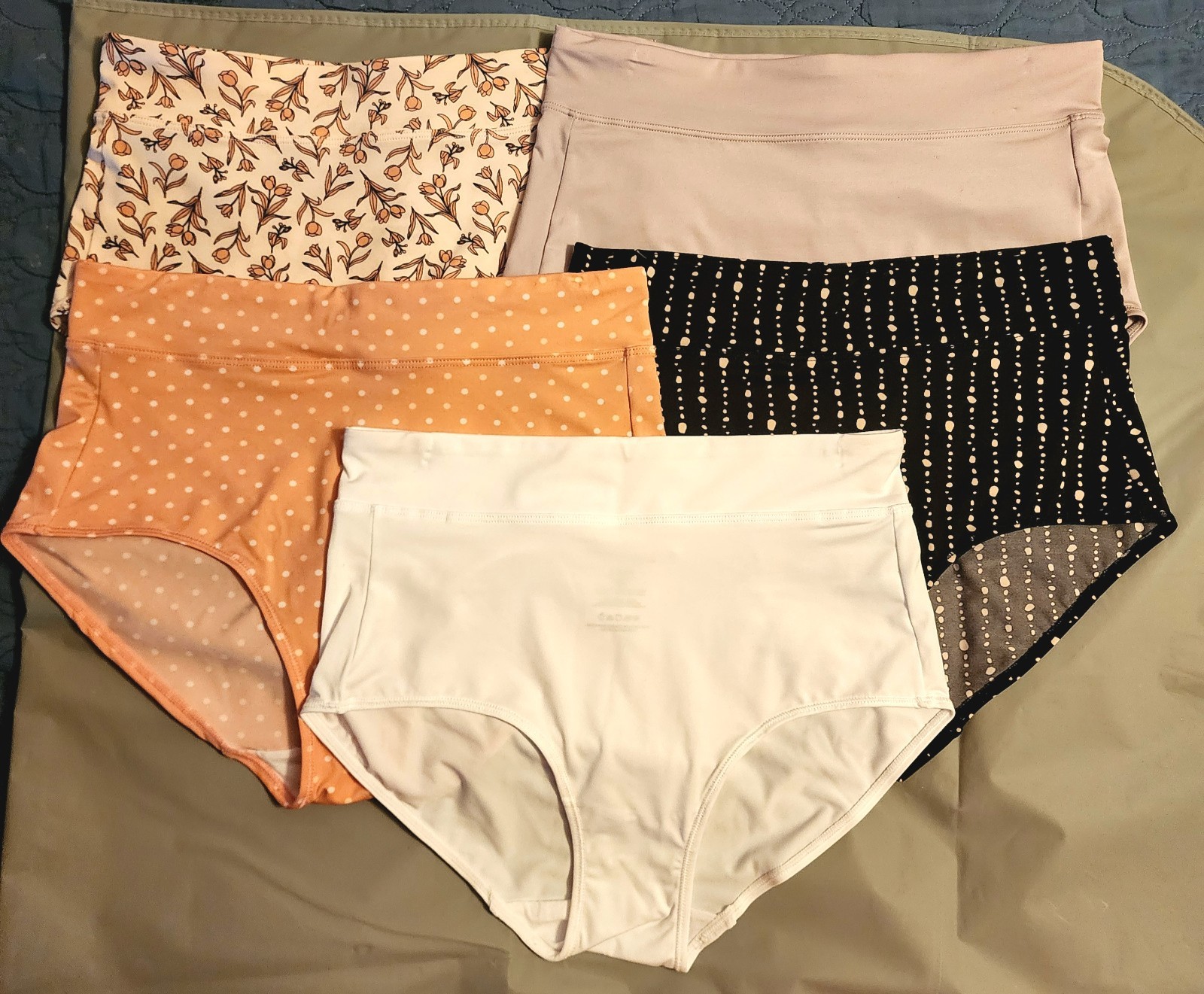 5 Pack GLORIA VANDERBILT Medium Size Microfiber Panties NWOT