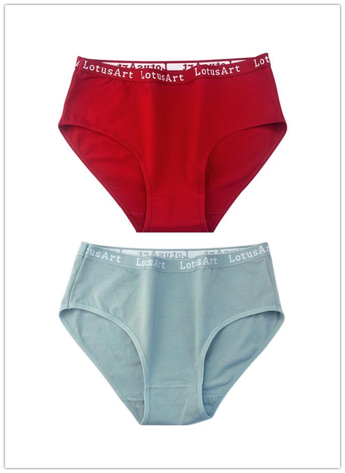 2 Pcs Plus Size Mid High Waist Panties Women’s Pure Cotton Women’s Briefs