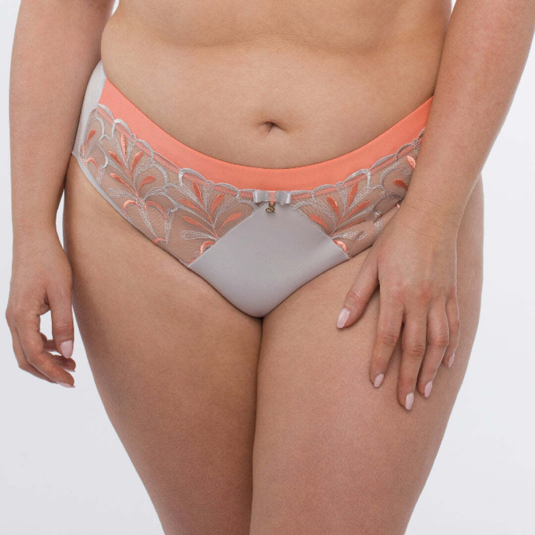 Samanta Sweet Semi-Sheer Tulle Embroidered Brief Panty New Women’s Lingerie B400