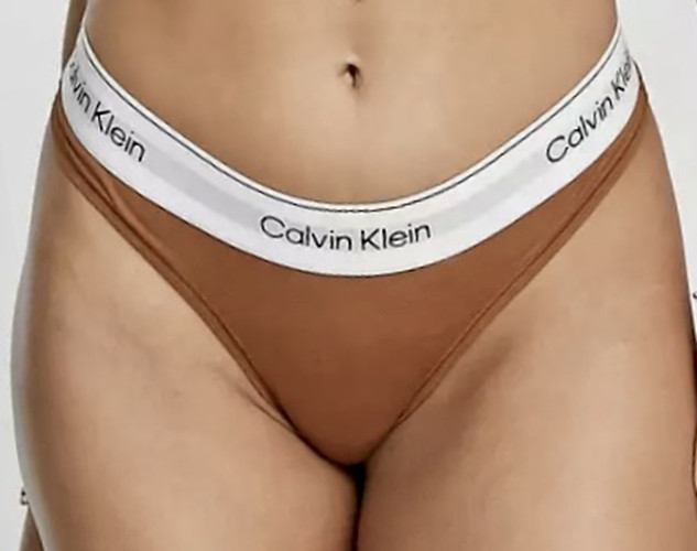 CALVIN KLEIN Modern Cotton Naturals Thong Panty NEW Womens Plus Sz 1X QF7046