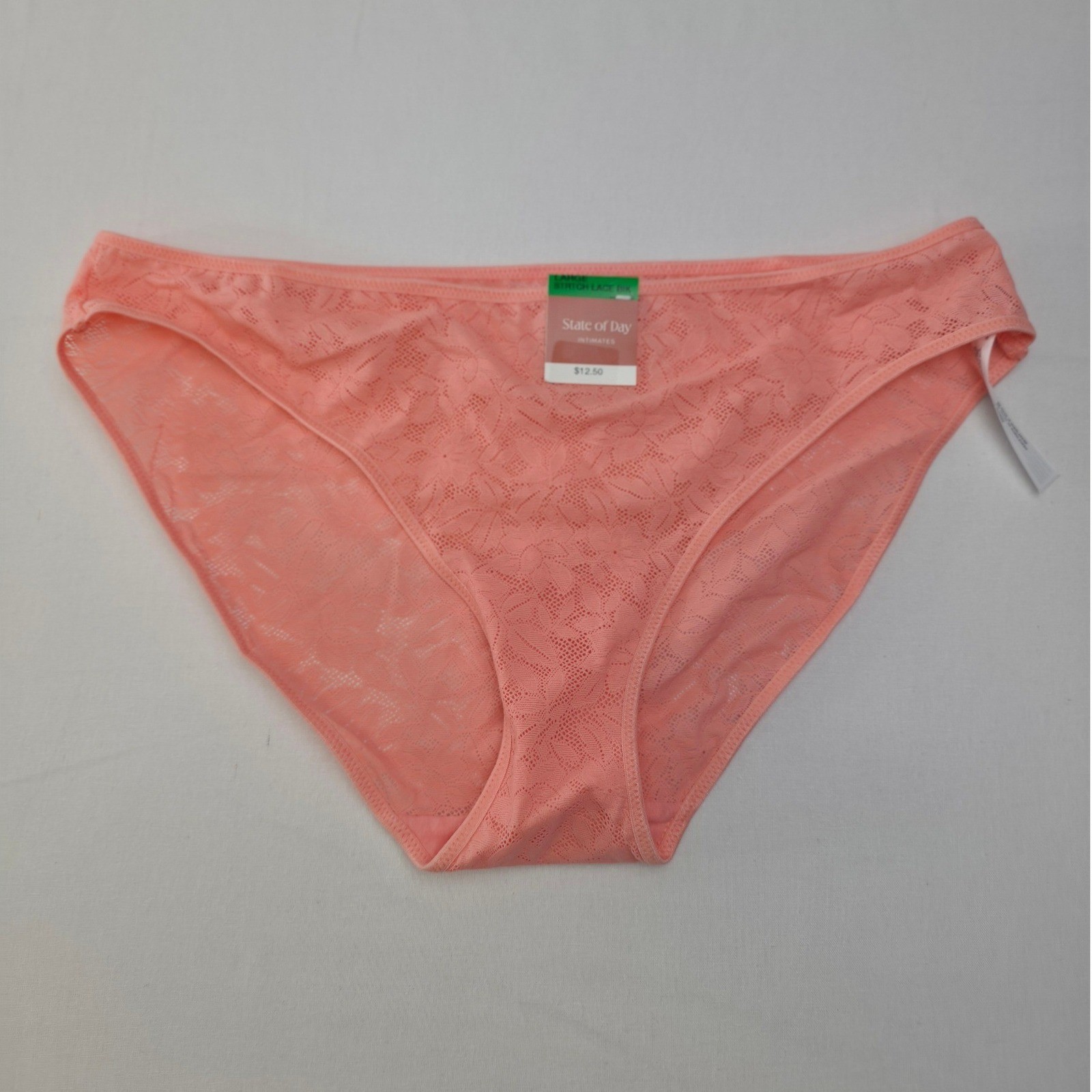State of Day Women Mesh Floral Lace Bikini Panty Blushing Large Underwear NWT