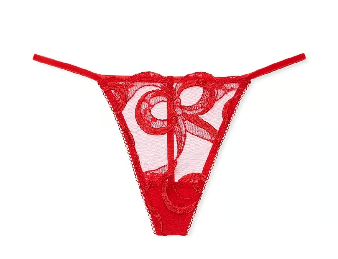 Dream Angel RED Tied-with-a-Bow Embroidery V-String Panty Size M NWT