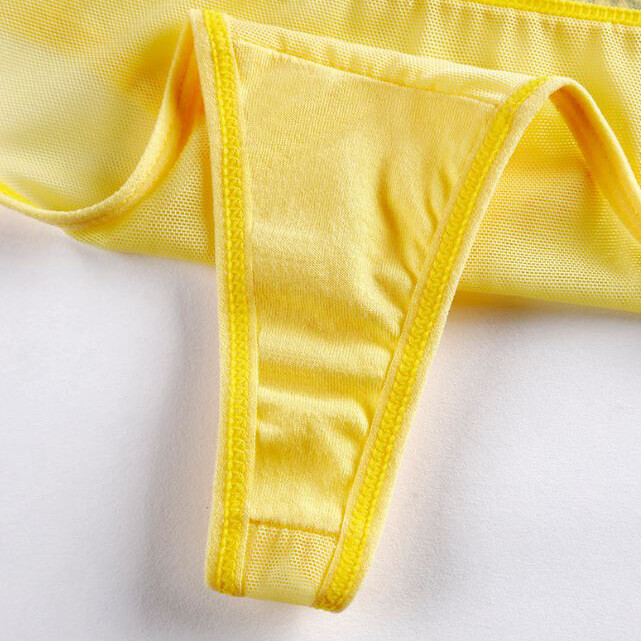 6 PCS Women Sexy Panties Thong G string High Cut Sheer Ladies Underwear