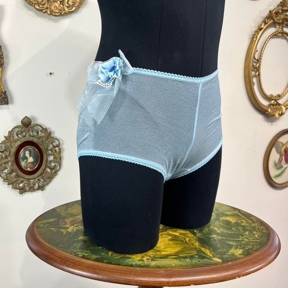 vintage Victoria’s Secret Shimmer Mesh Rosette Pearl Panties Size L Blue Y2K