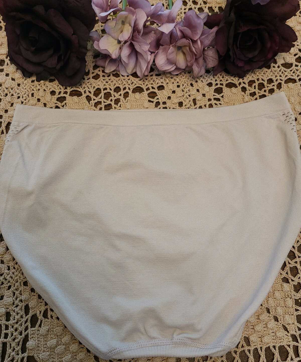 L/7 UNDER CONTROL INTIMATES SeXy Cool Mesh Vibes Brief Panty ~NW0T