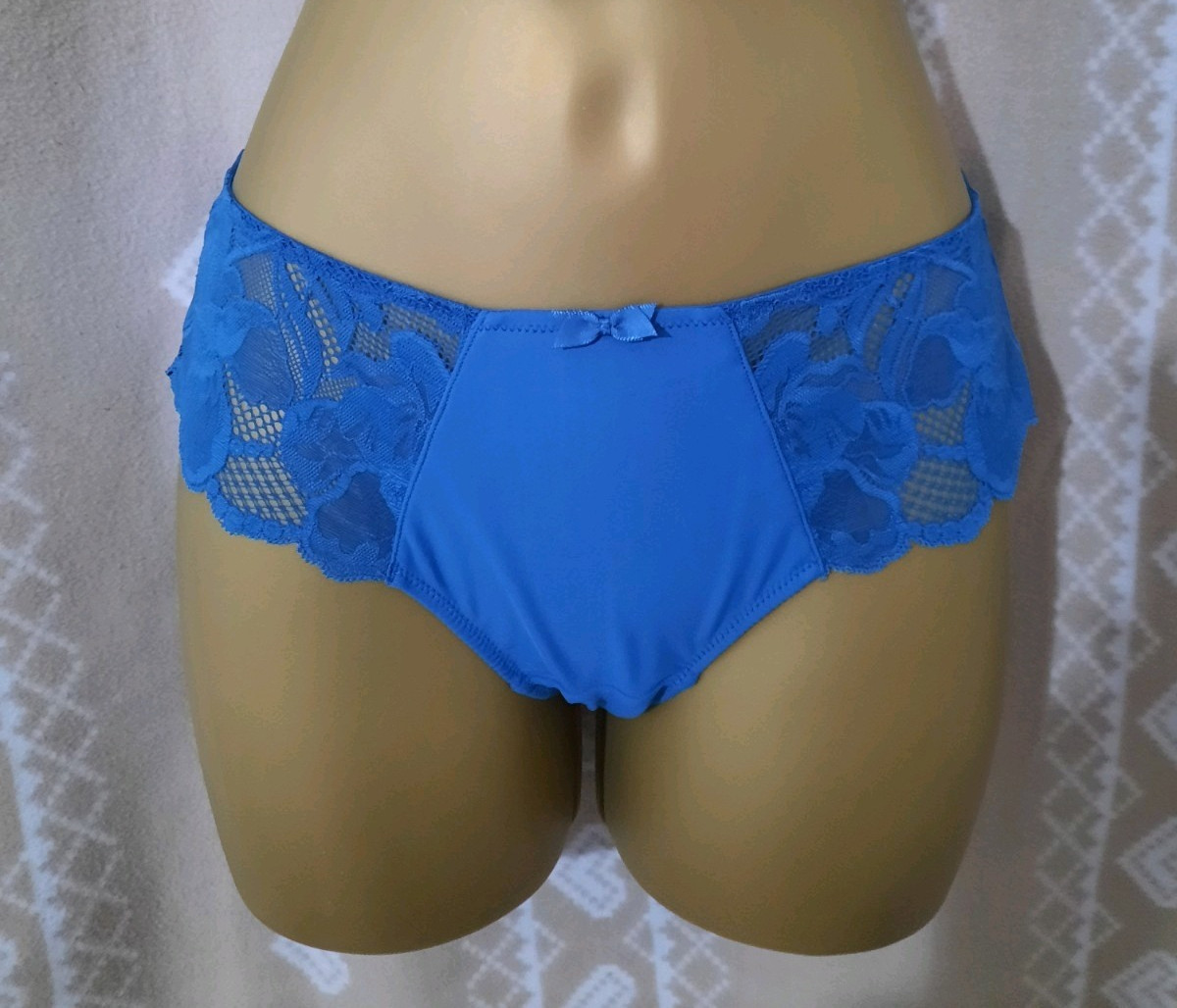 Panache Rocha Briefs Semi Sheer Mid Rise Lined Knickers Lace Brief Size 8