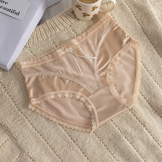 5 Pack Lot Sexy Womens Satin Panties Brief Lace Sheer Ladies Underwear Lingeries