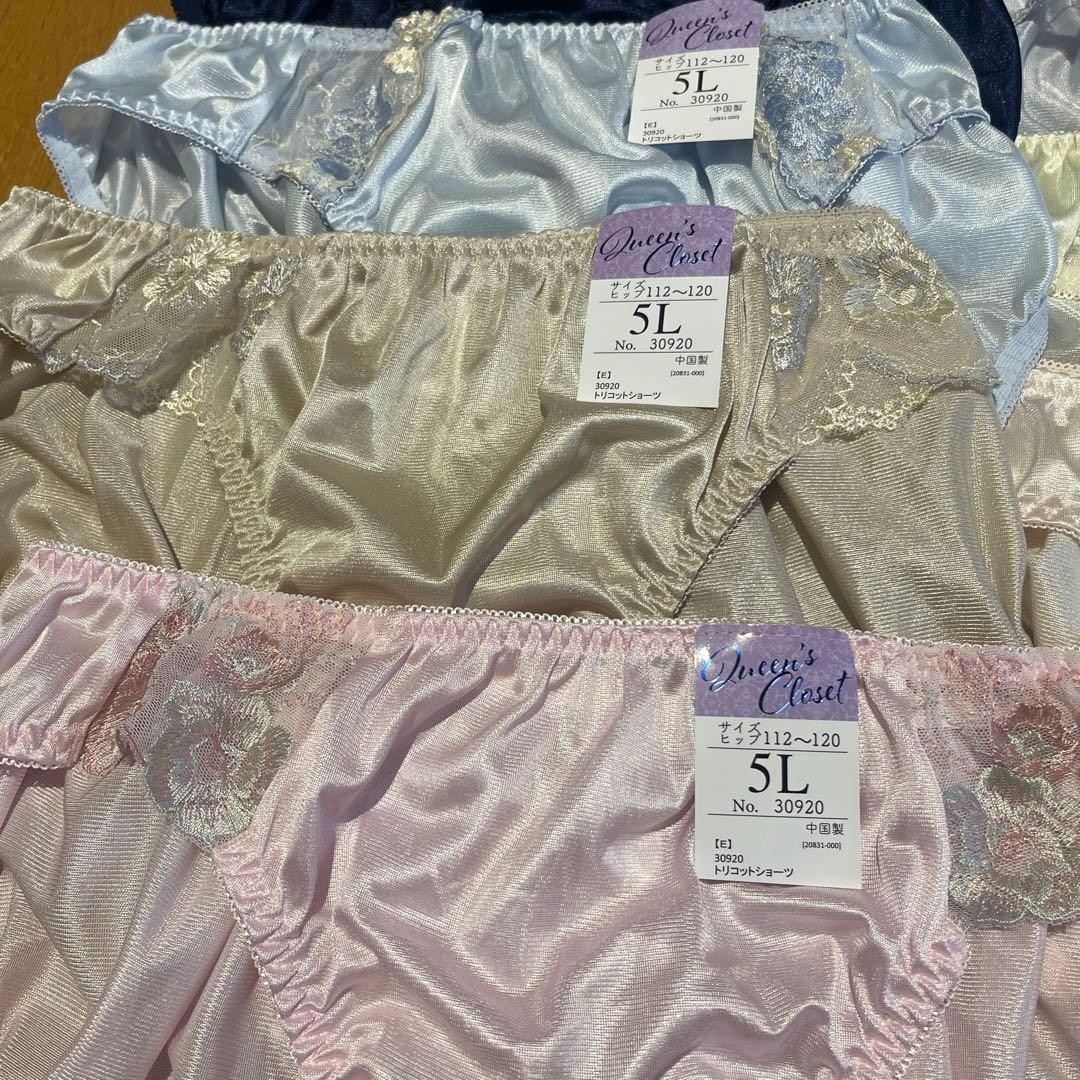 Japanese Glossy Nylon Panties Floral Lace Brief Set of 10 US size 2XL, JP 5L