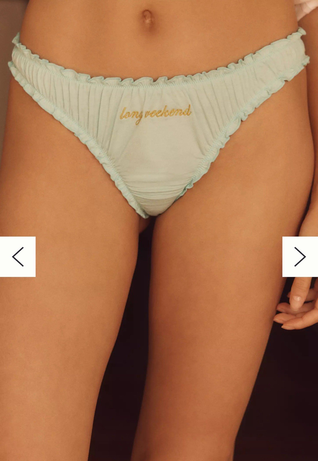Lyrebird Anthropologie NWT Size M Cheeky thong panty’s set of 2