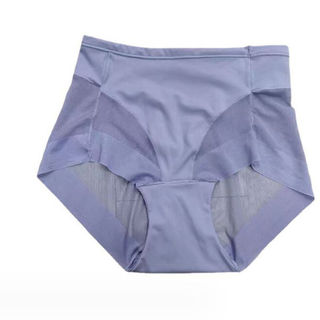 4 Packs Lot Womens Sexy Sheer See Through High Waist Panties Briefs Lingeries