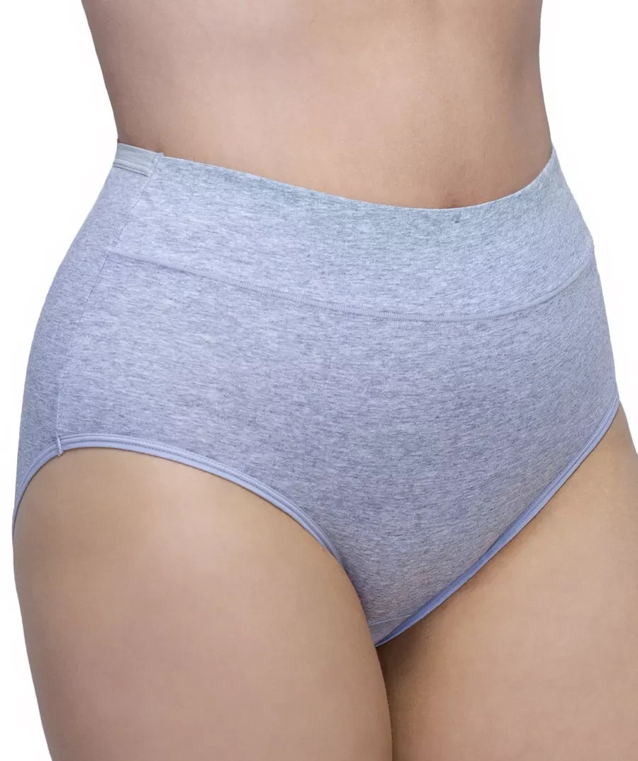 Womens XL Gray Soft Cotton Panties High Waisted Control Full Coverage Briefs