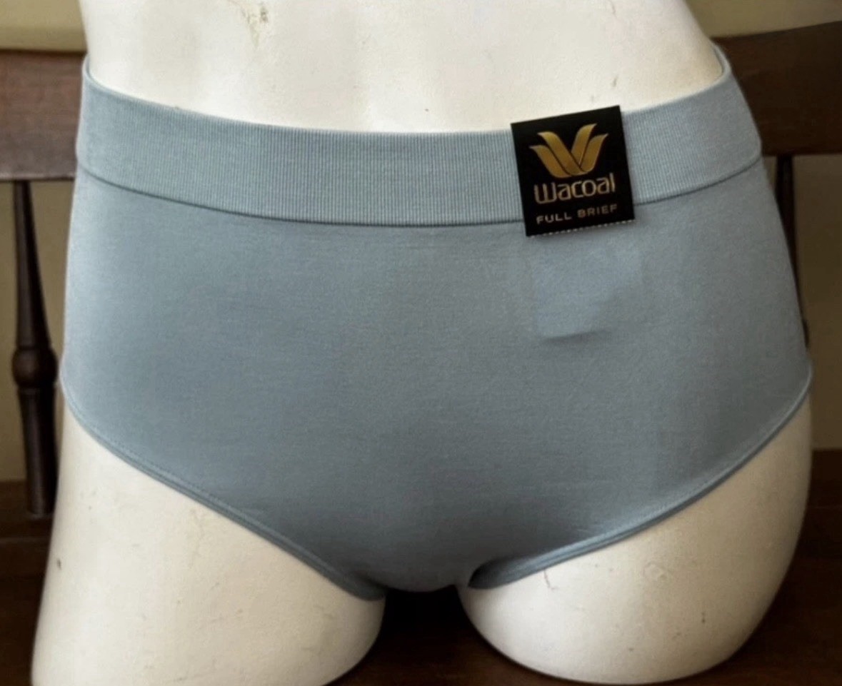 WACOAL 838175 ~ STONE BLUE ~ B-SMOOTH FULL BRIEF PANTIES ~ LARGE
