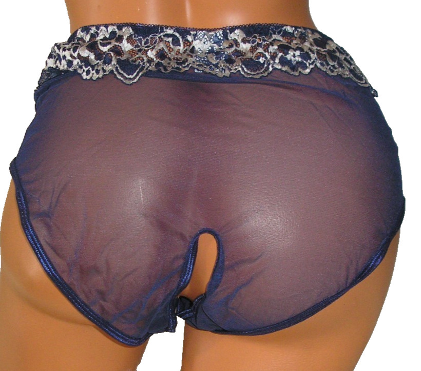 Panties Lingerie Floral Lace Trim Dark Blue Mesh Crotchless, 1X Adult Gift