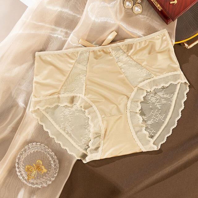 6 Packs Lot Womens Silky Satin Panties Briefs French Lace Sheer Back Lingeries