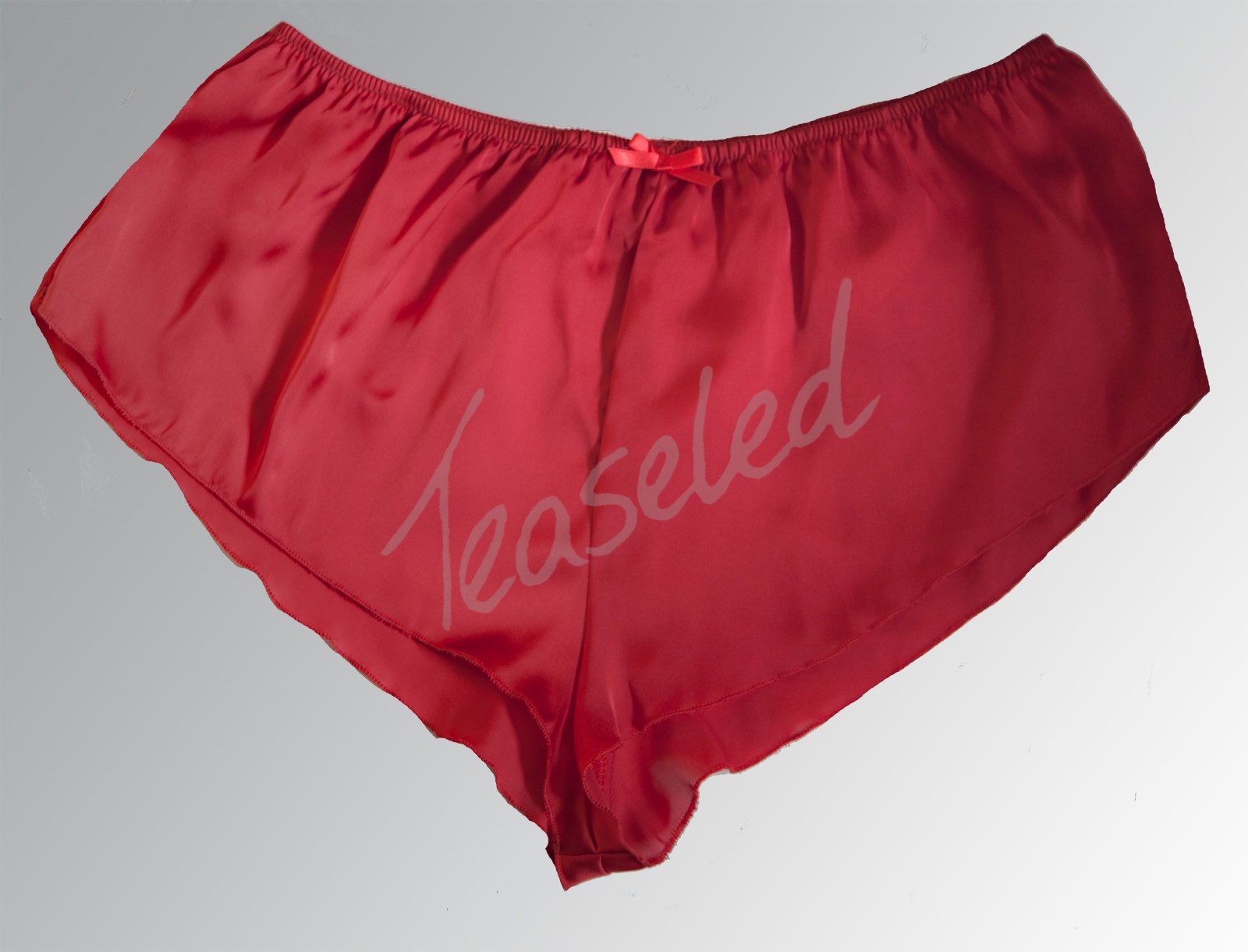 Plus Size Curve French Knickers Silky Satin panties Lingerie Multiple Colours