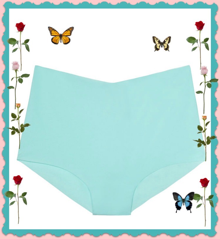 XL AQUA Skylight NO SHOW Victorias Secret High Waist Midi Brief Pantie RARE